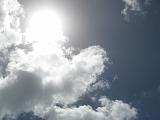 Waiuku 2011-01-29 141